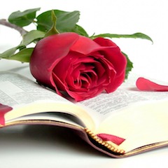 bibliya roza kniga krasota