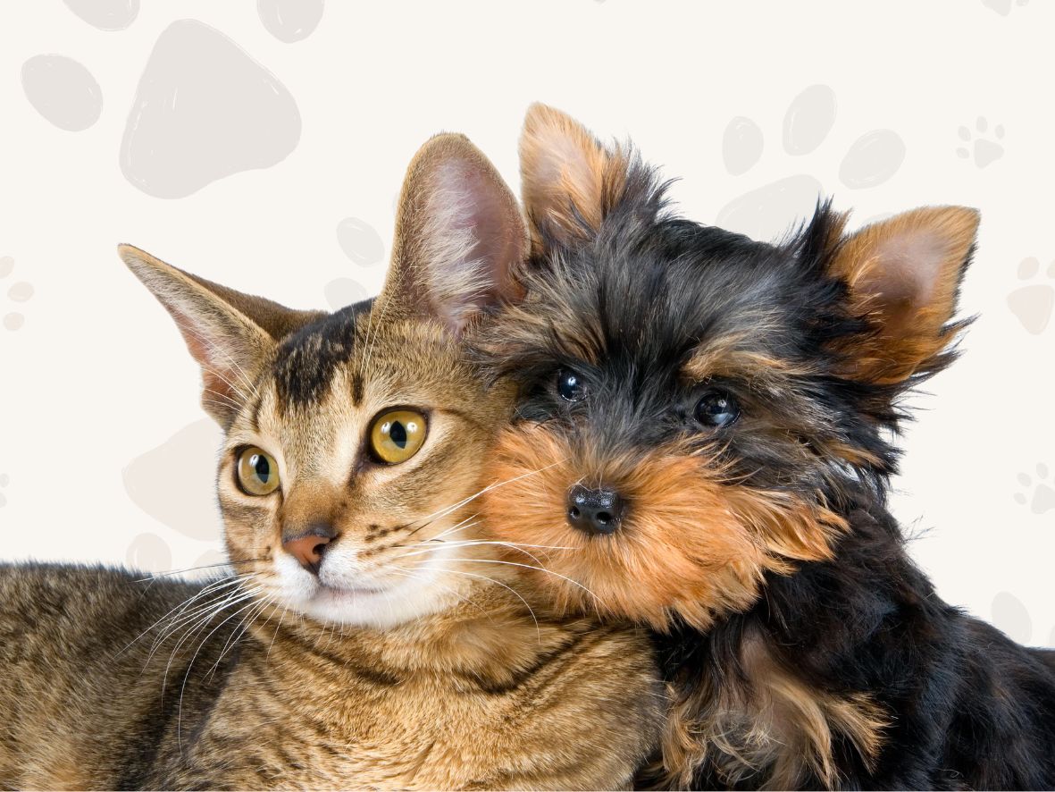 дом добрых сердец